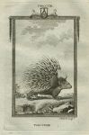 Porcupine, after Buffon, 1785