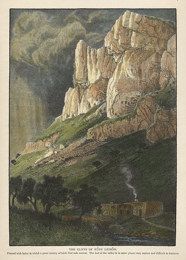 Holy Land, Cliffs of the Wady Leimon, 1875