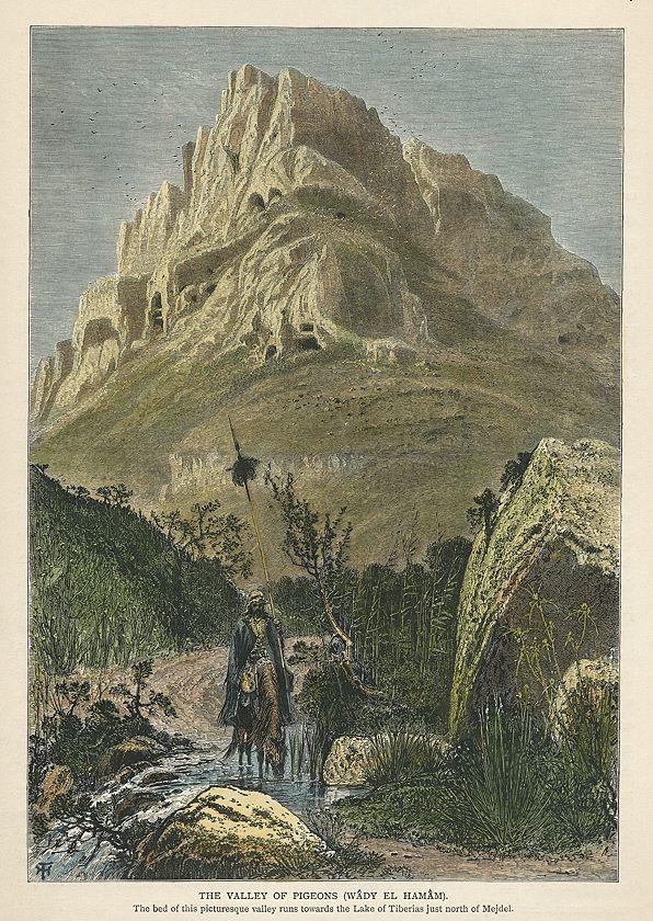 Holy Land, (Israel) Valley of Pigeons near Mejdel, 1875