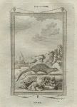 Nems (type of mongoose), after Buffon, 1785