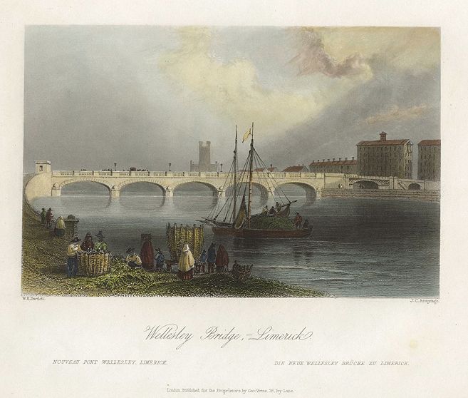 Ireland, Limerick, Wellesley Bridge, 1841