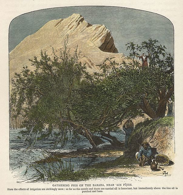 Syria, Gathering Figs on the Barada, 1875