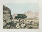 Arabia, Mount Mokatib, 1847