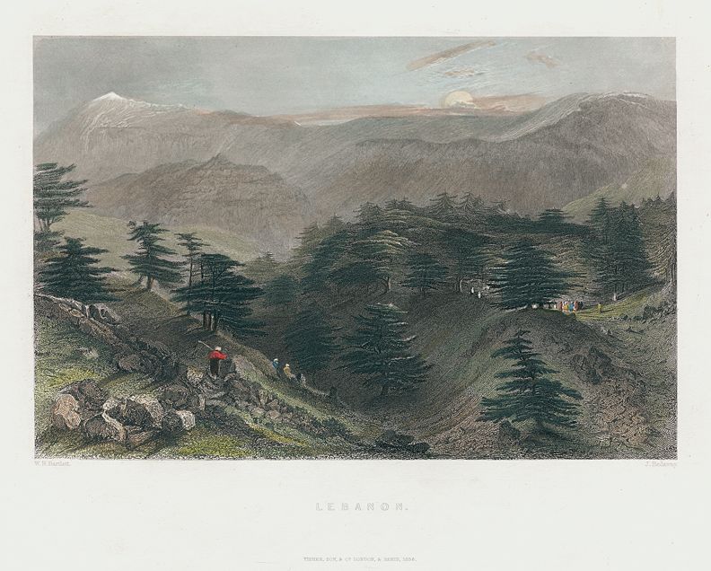 The Cedars of Lebanon, 1837