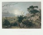 Lebanon, Cedar Forest above Barouk, 1837