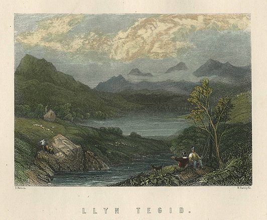 Wales, Llyn Tegid, 1874