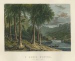 Wales, Y Gored Newydd, Afon Wy, 1874