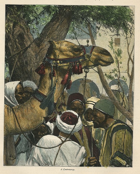 Egypt, Egyptians and Camel, 1879