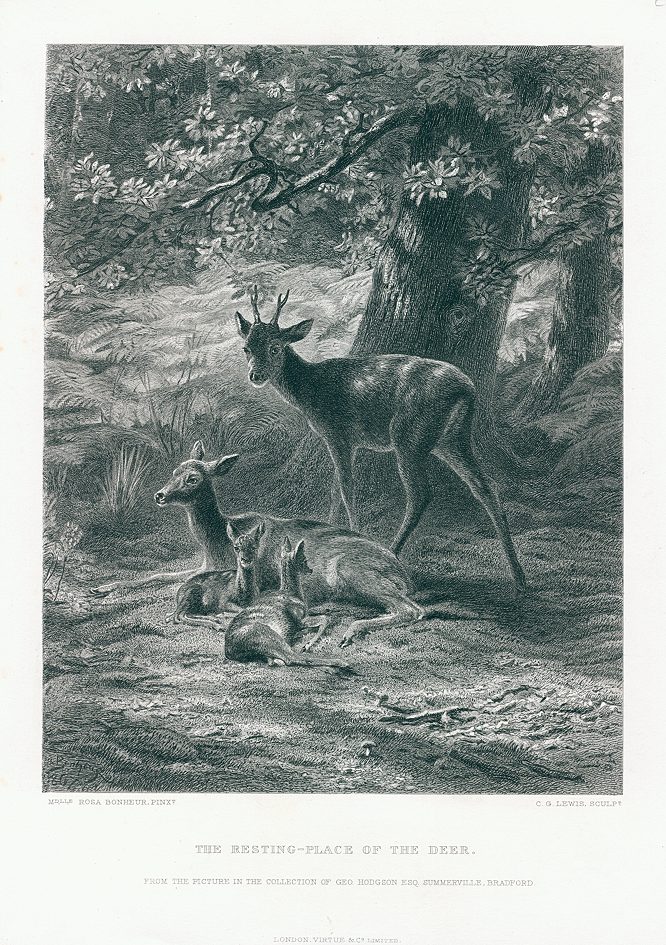 The Resting Place of the Deer, 1879