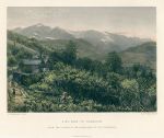 Alps, Chamonix, near Mont Blanc, 1875