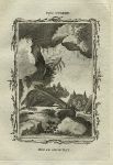 Horseshoe Bat, after Buffon, 1785