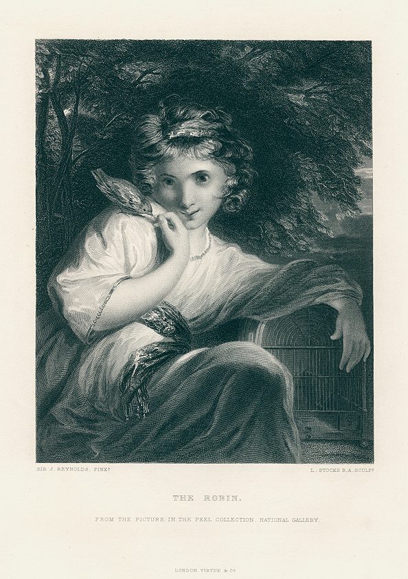 The Robin, after Joshua Reynolds, 1872