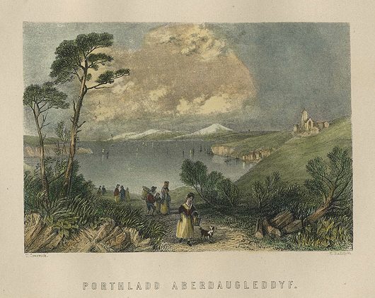 Wales, Porthladd Aberdaugleddyf, 1874