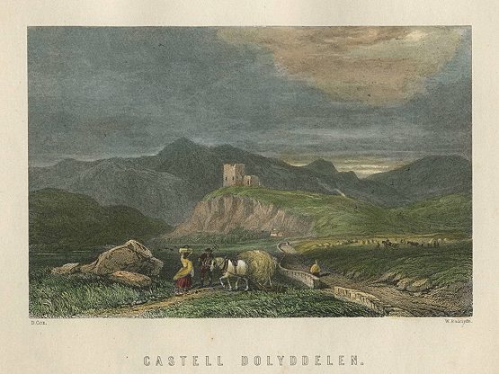 Wales, Castell Dilyddelen, 1874