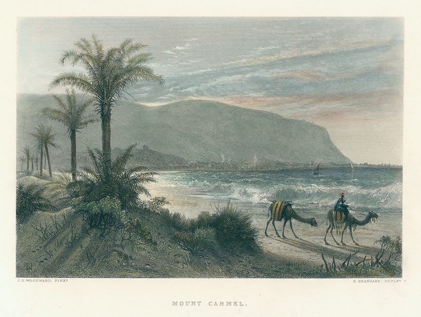 Holy Land, Mount Carmel, 1875