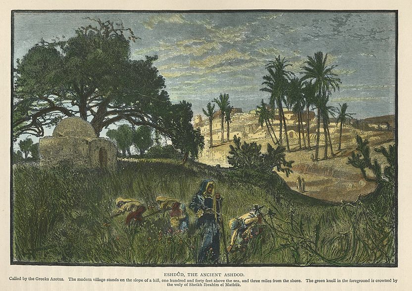 Holy Land, Eshdud, the ancient Ashdod, 1875