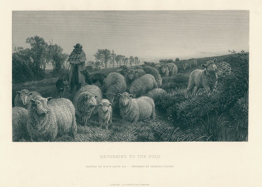 Returning to the Fold (sheep farming), after Davis, 1884