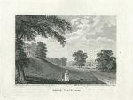 Surrey, Esher Place, 1796