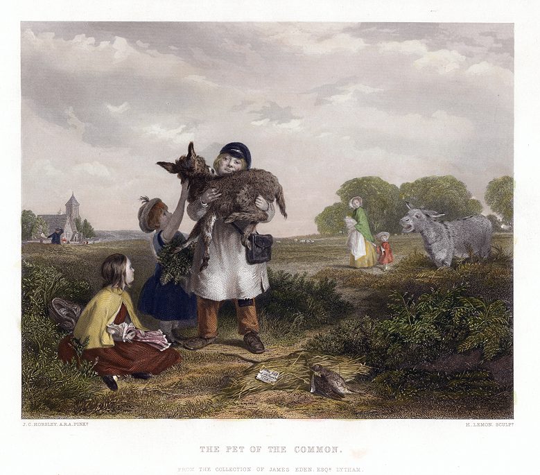 The Pet of the Common (childen with donkey foal), after Horsley, 1863