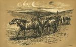 Texas, catching wild horses, 1894