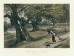 Buckinghamshire, Burnham Beeches, 1875