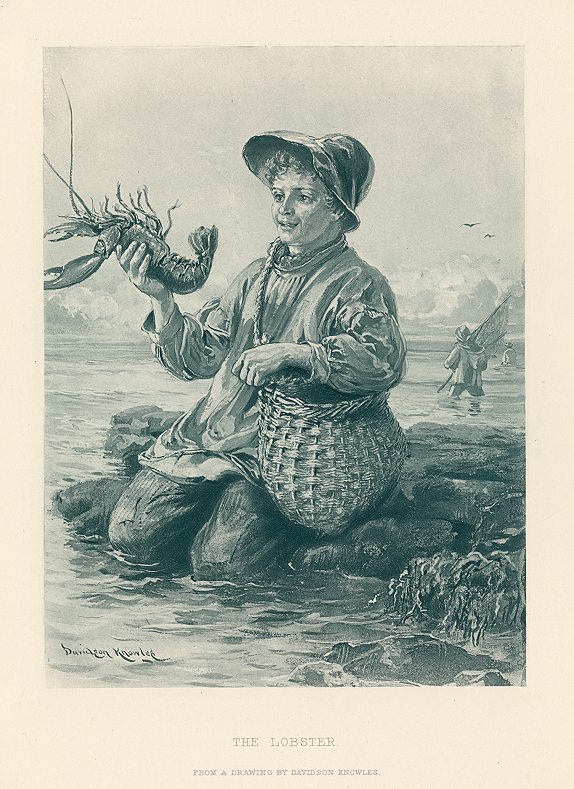 The Lobster, after Davidson Knowles, 1883