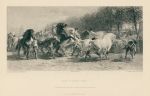 The Horse Fair (Paris), etching after Rosa Bonheur, 1887