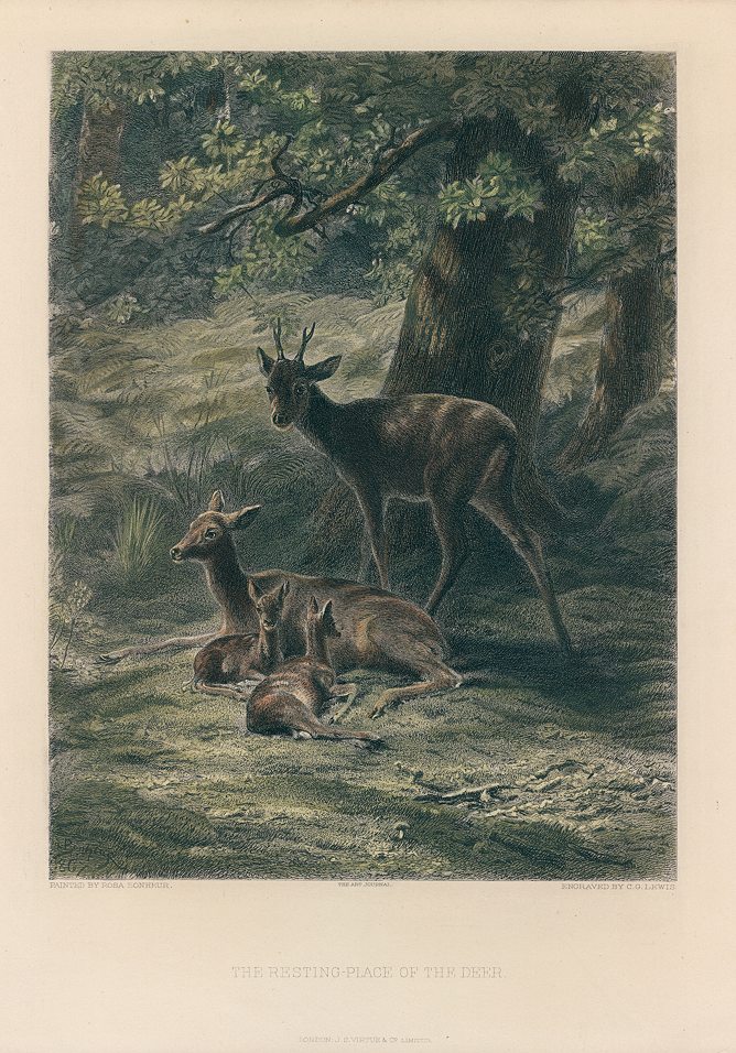 The Resting Place of the Deer, after Rosa Bonheur, 1887