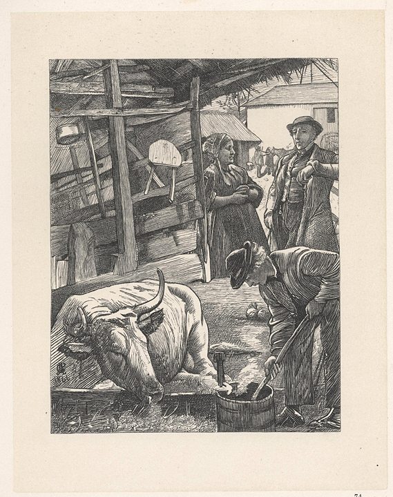 Dr Tom, woodcut by Dalziel Brothers, 1867