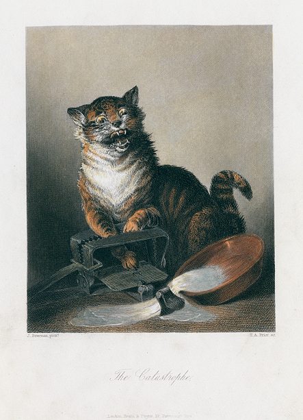 'The Catastrophe', after Baterman, 1845