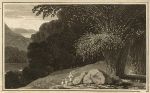 Bamboo plant, William Daniell, 1807