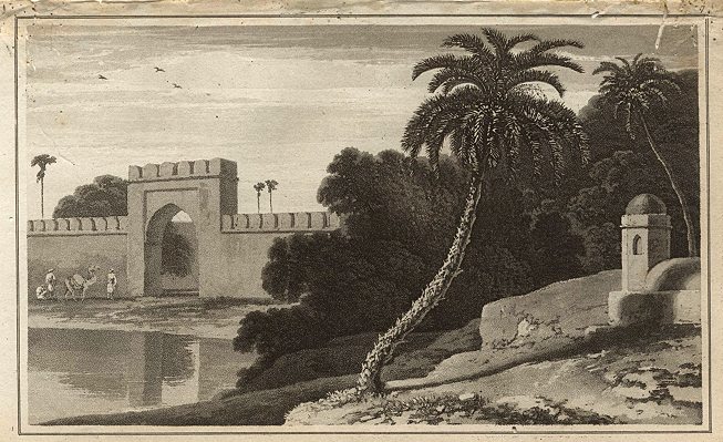 Date Tree, William Daniell, 1807