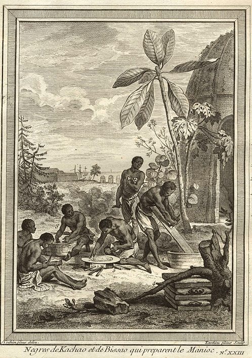 Guinea-Bissau, preparation of Manioc (cassava), 1746