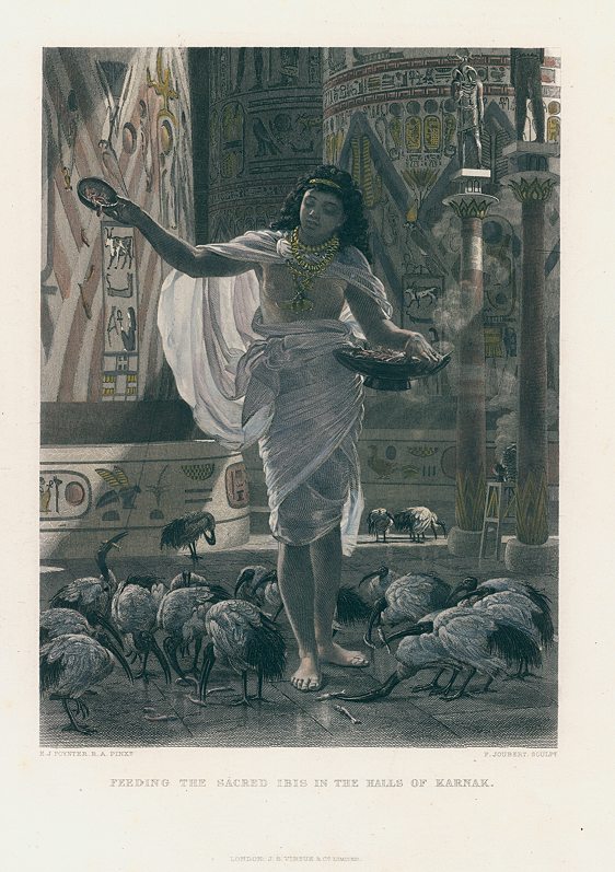 Feeding the Sacred Ibis in the Halls of Karnac, 1874