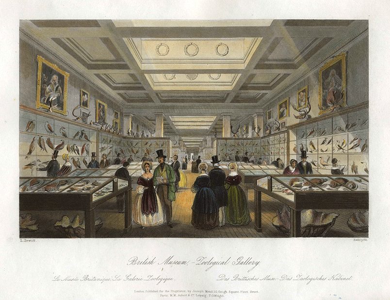 London, British Museum, Zoological Gallery, 1841