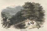 Cedars of Lebanon, 1852