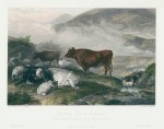 Cattle: Early Morning, after Cooper, 1849