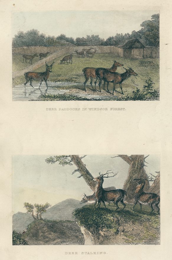 Deer Paddocks & Deer Stalking, two prints, 1860