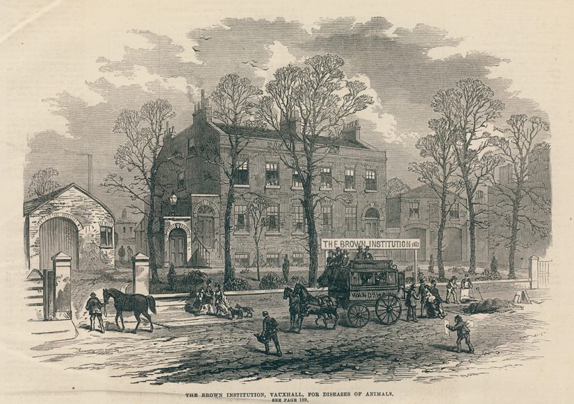 London, the Brown Institution, Vauxhall, for Diseases of Animals, 1872