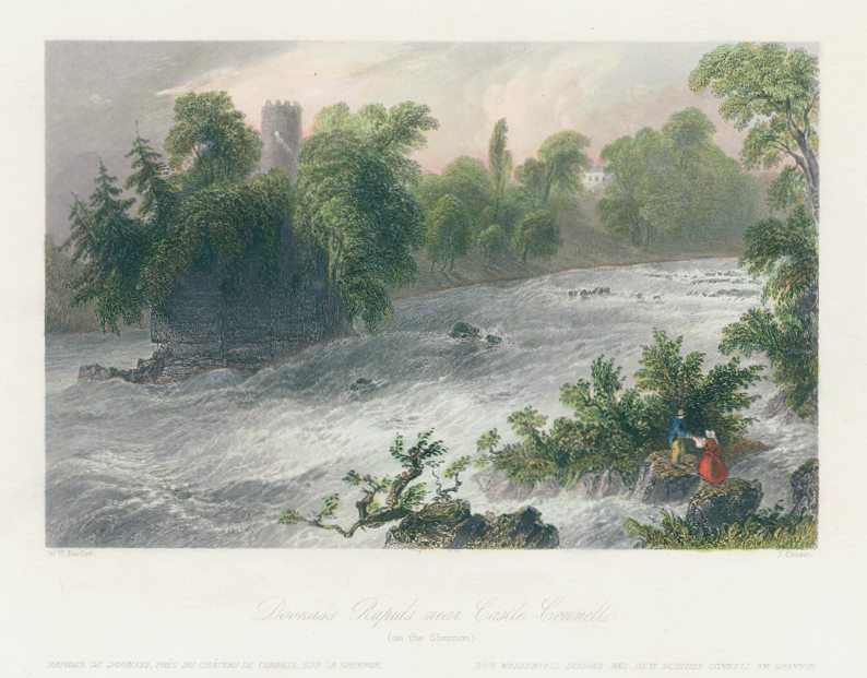 Ireland, Doonals Rapids near Castle Connell (Shannon), 1841