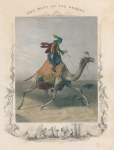Camel, Post of the Desert, 1850