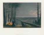 USA, Forest near Lake Ontario, 1840