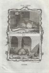 Rat & Mouse, after Buffon, 1785