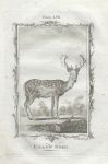Fallow Deer, after Buffon, 1785