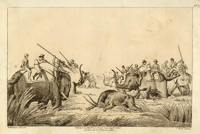 India, The Buffalo at Bay, by Howitt, 1808