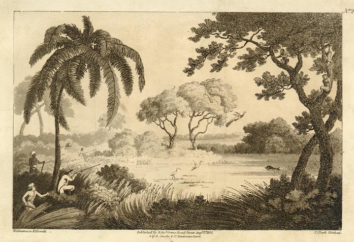 India, Peacock Shooting, by Howitt, 1808