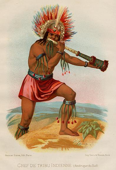 South America, Indian Chief, 1876