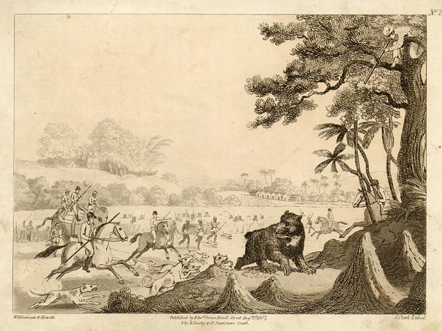 India, Driving a Bear out of Sugar Canes, by Howitt, 1808