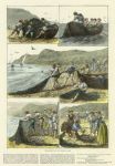 Corsica, Reta Fishing, 1884
