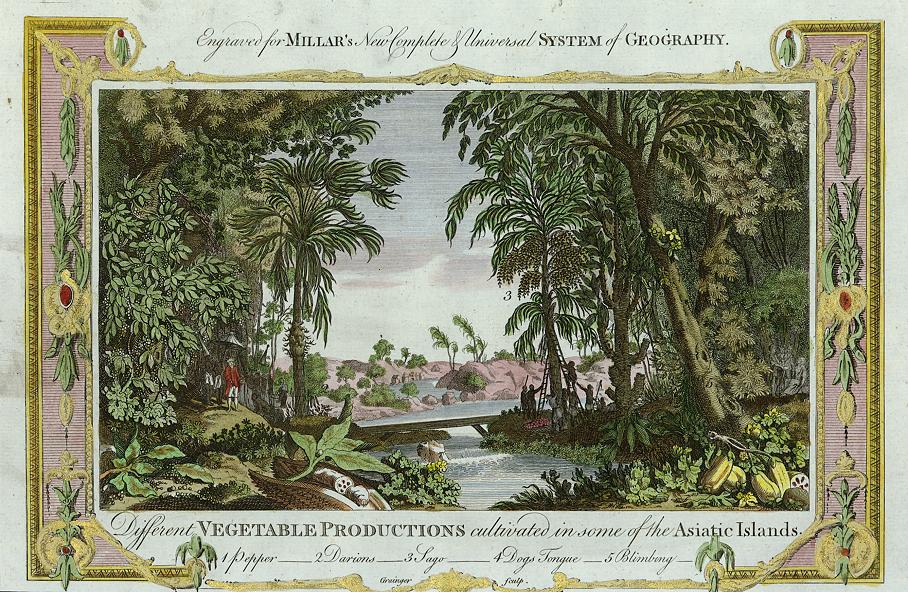 Vegetable Productions in the Asiatic Islands, 1785